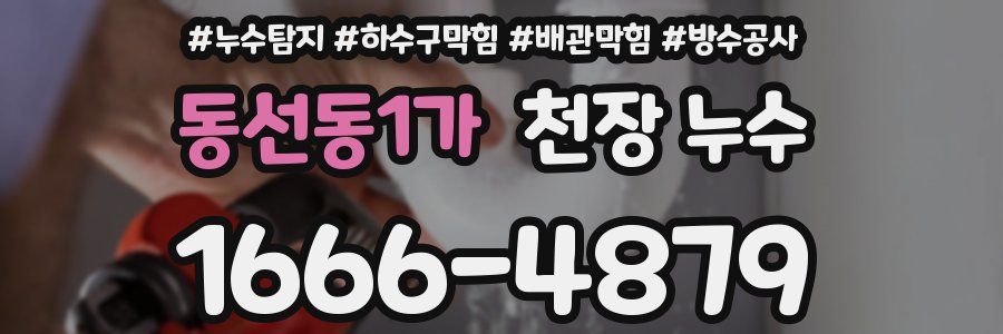 동선동1가 천장 누수
