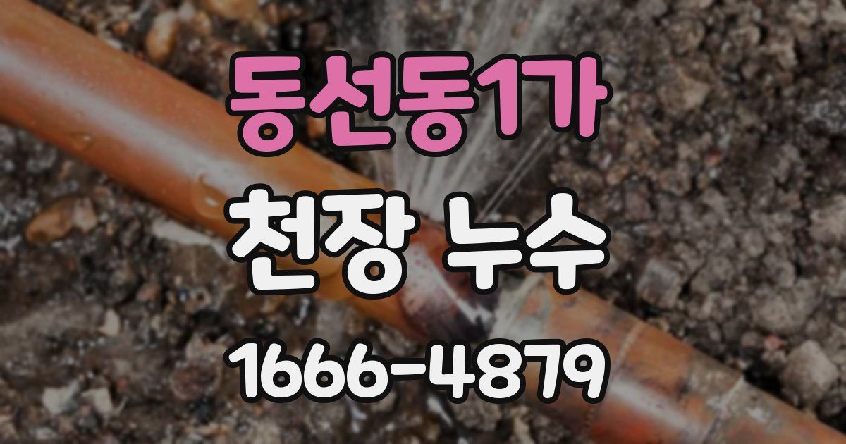 동선동1가 천장 누수