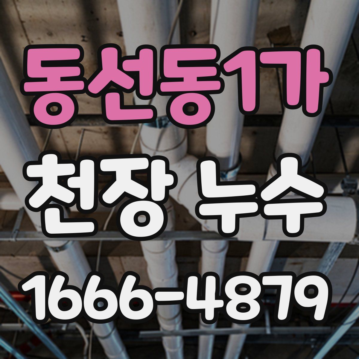동선동1가 천장 누수