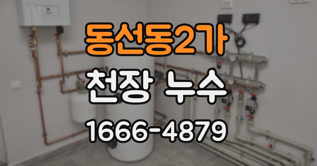 동선동2가 천장 누수