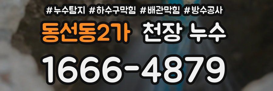 동선동2가 천장 누수