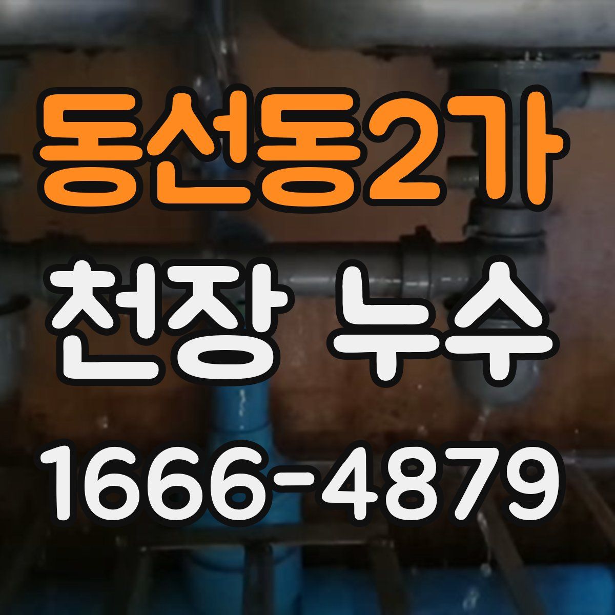 동선동2가 천장 누수