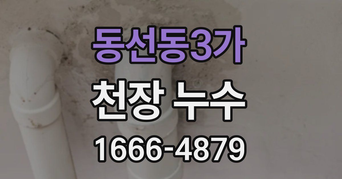 동선동3가 천장 누수