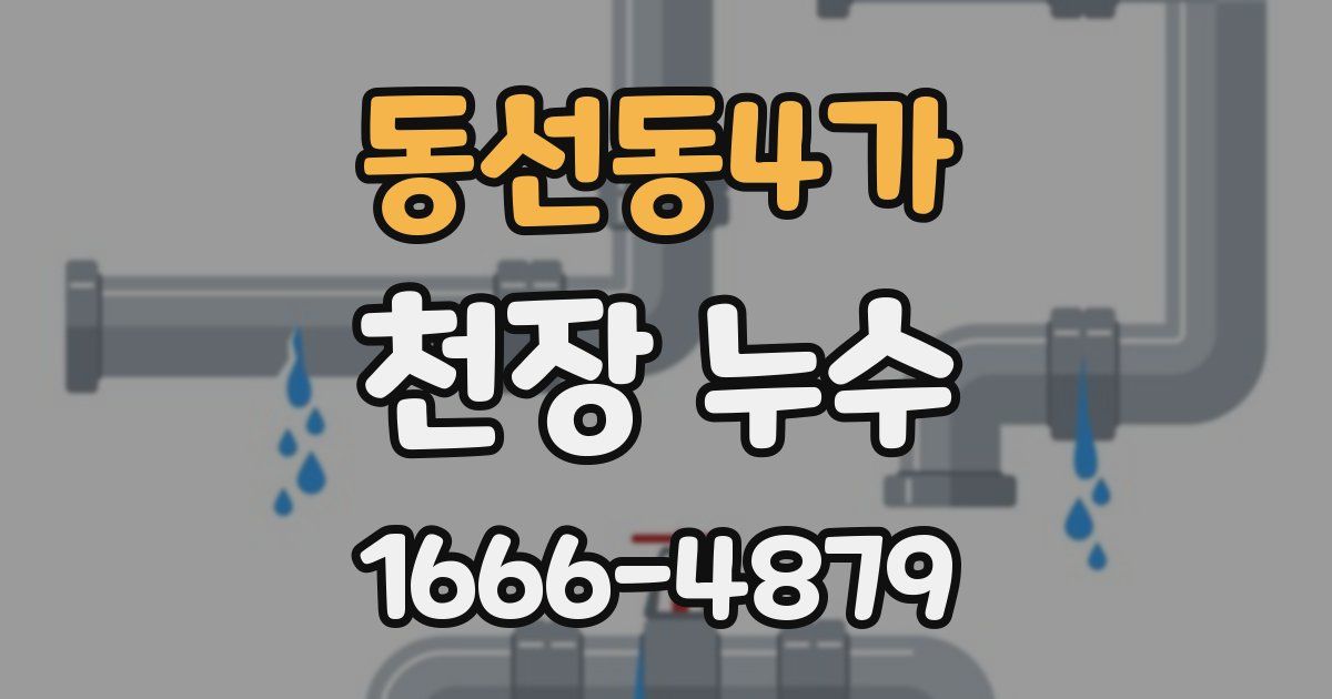 동선동4가 천장 누수