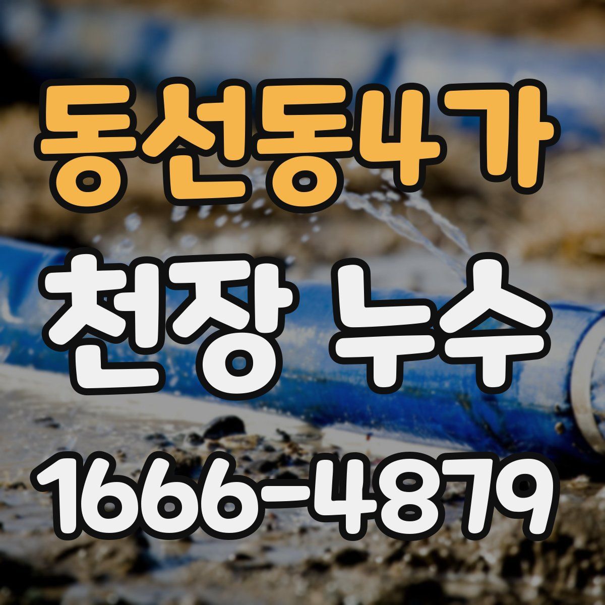 동선동4가 천장 누수