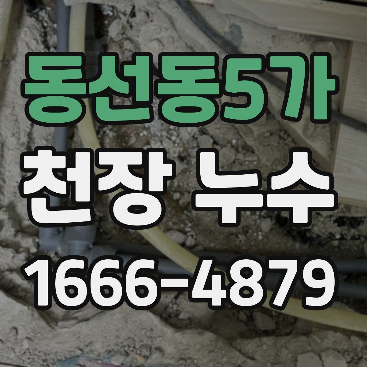 동선동5가 천장 누수