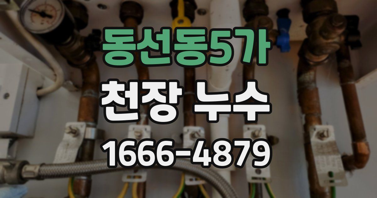 동선동5가 천장 누수