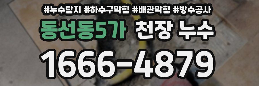동선동5가 천장 누수