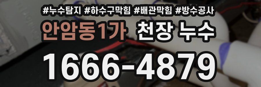 안암동1가 천장 누수
