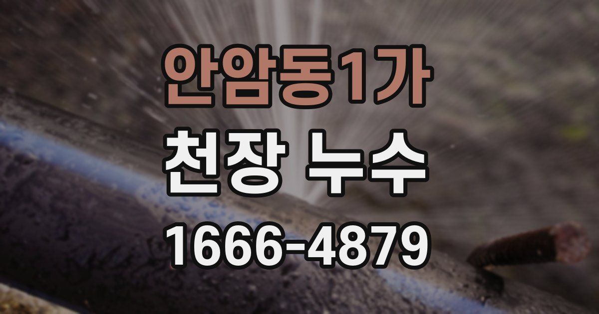 안암동1가 천장 누수