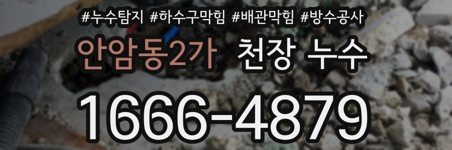 안암동2가 천장 누수