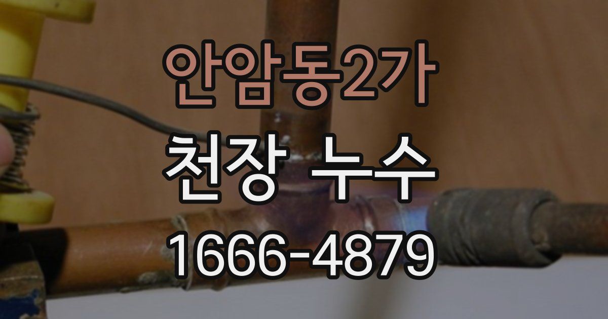 안암동2가 천장 누수