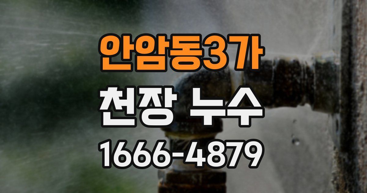 안암동3가 천장 누수