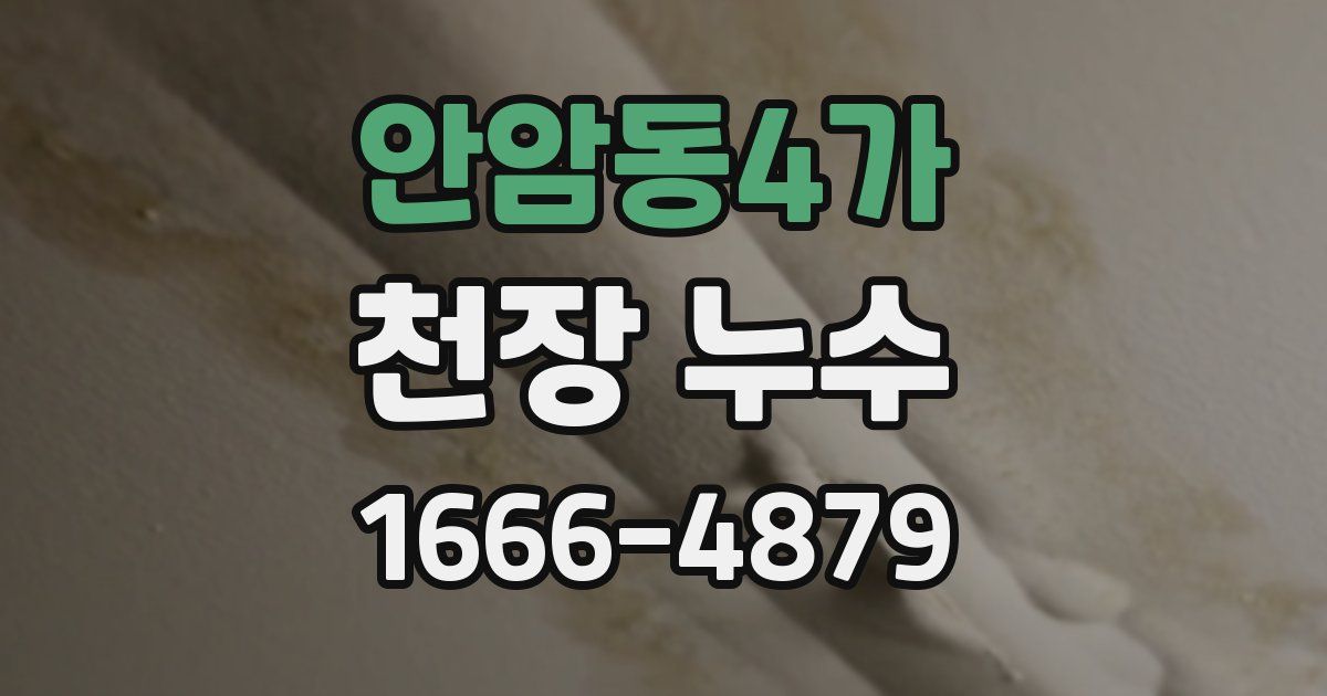 안암동4가 천장 누수