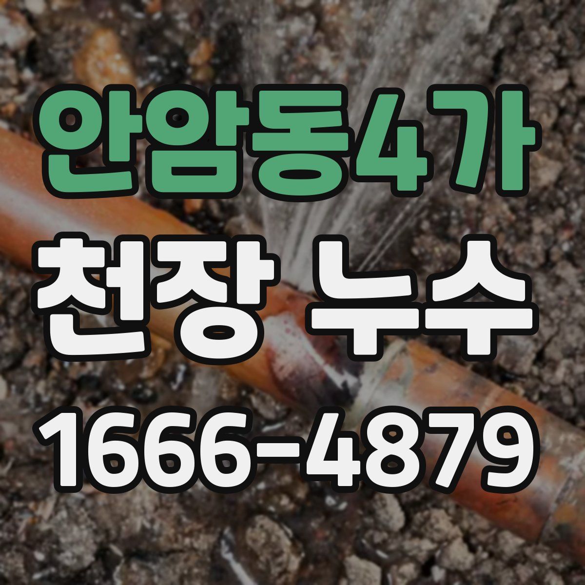 안암동4가 천장 누수