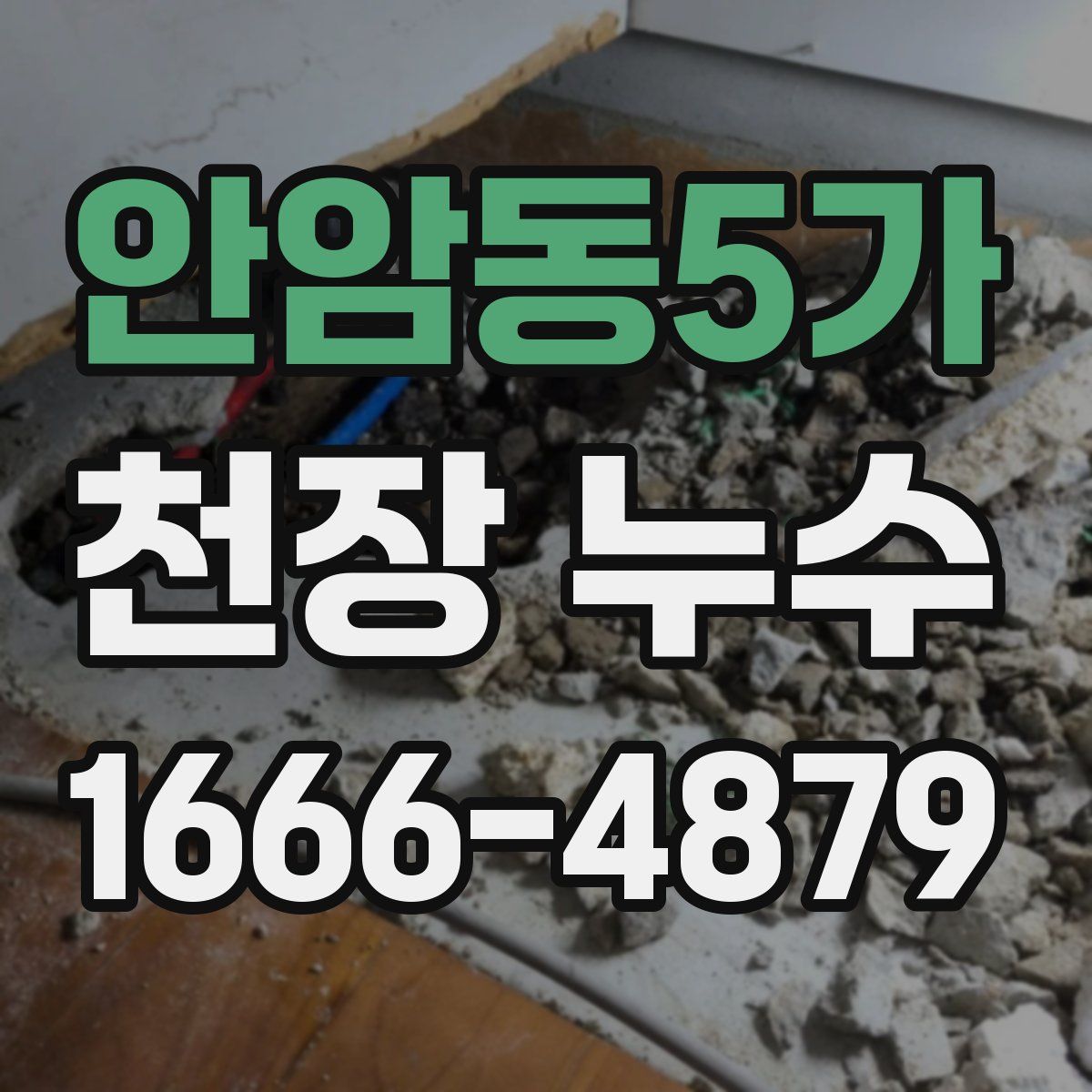안암동5가 천장 누수