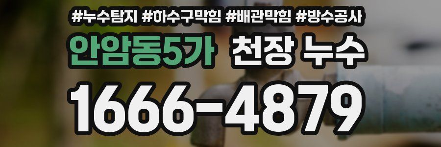 안암동5가 천장 누수