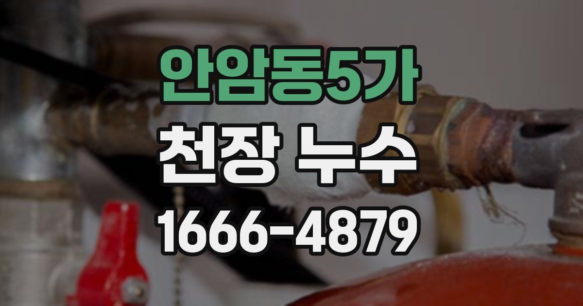 안암동5가 천장 누수