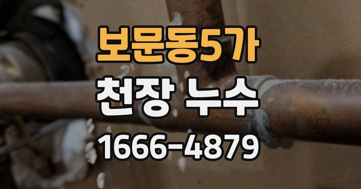 보문동5가 천장 누수