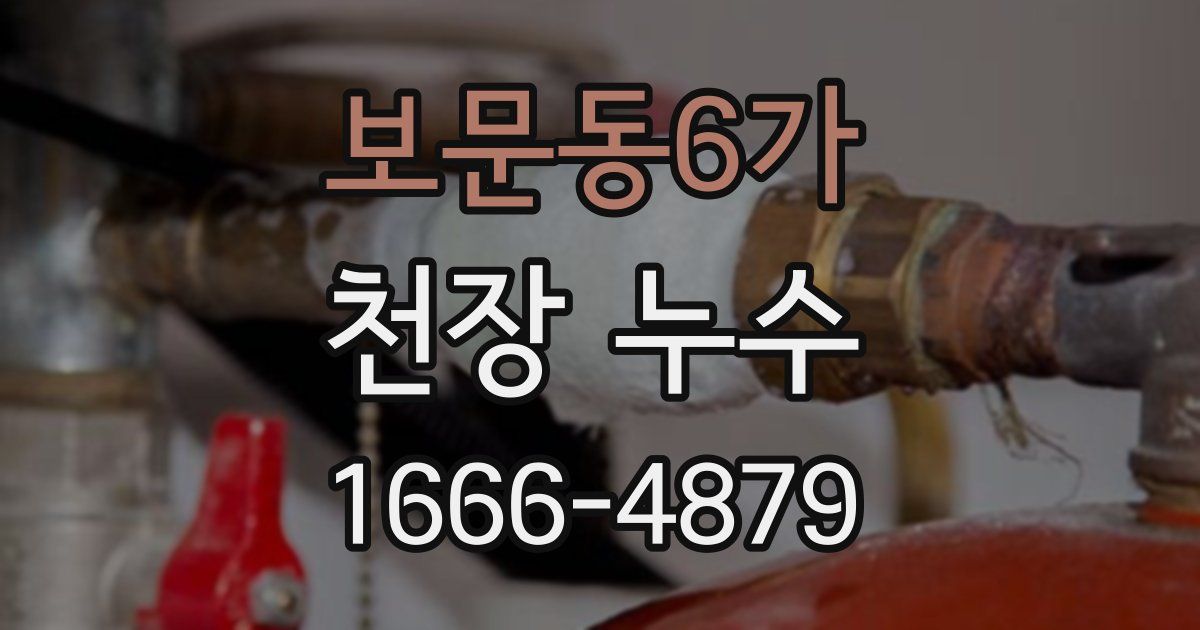 보문동6가 천장 누수