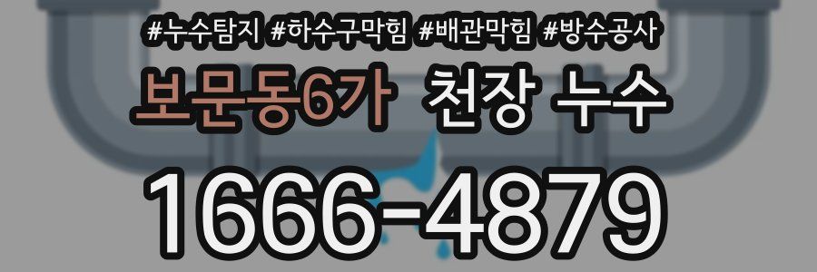 보문동6가 천장 누수