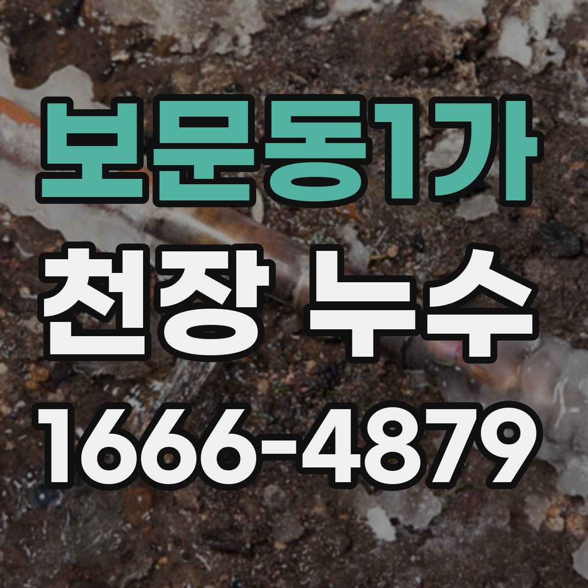 보문동1가 천장 누수