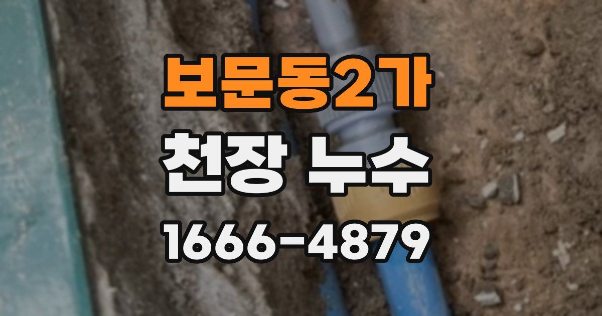 보문동2가 천장 누수