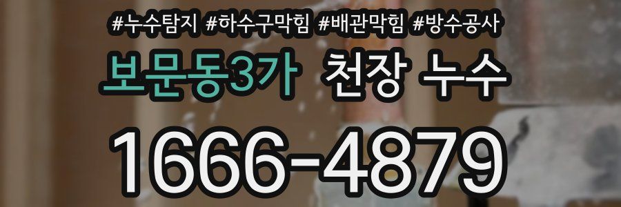 보문동3가 천장 누수