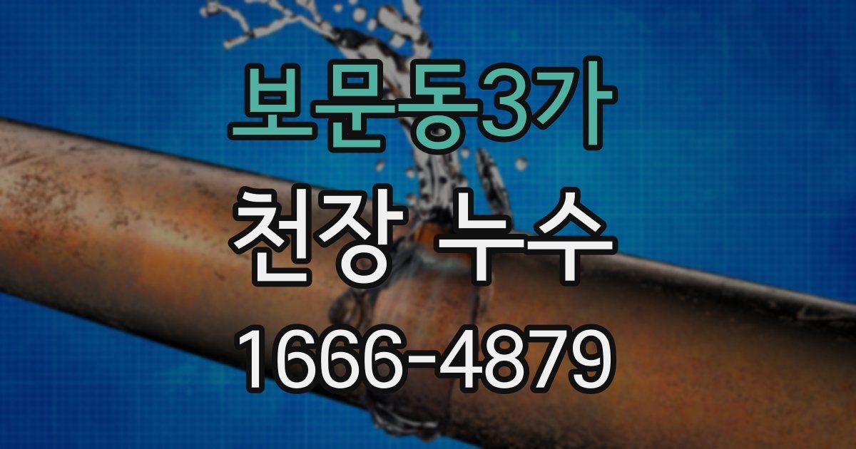 보문동3가 천장 누수