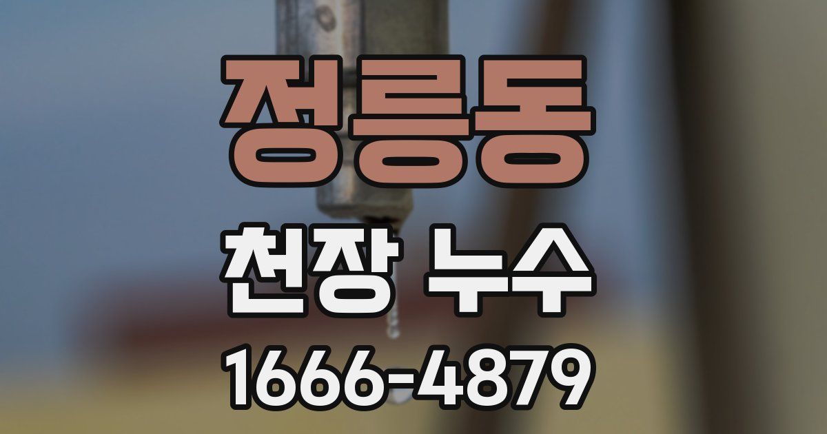 정릉동 천장 누수