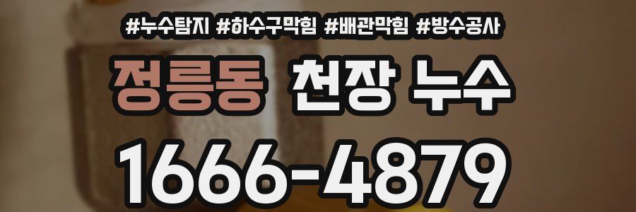 정릉동 천장 누수