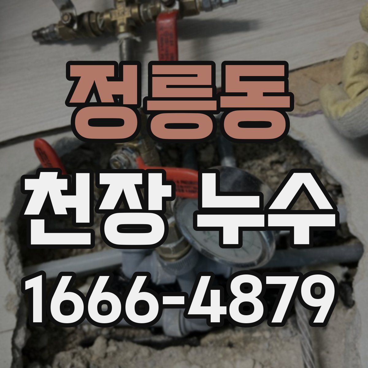 정릉동 천장 누수