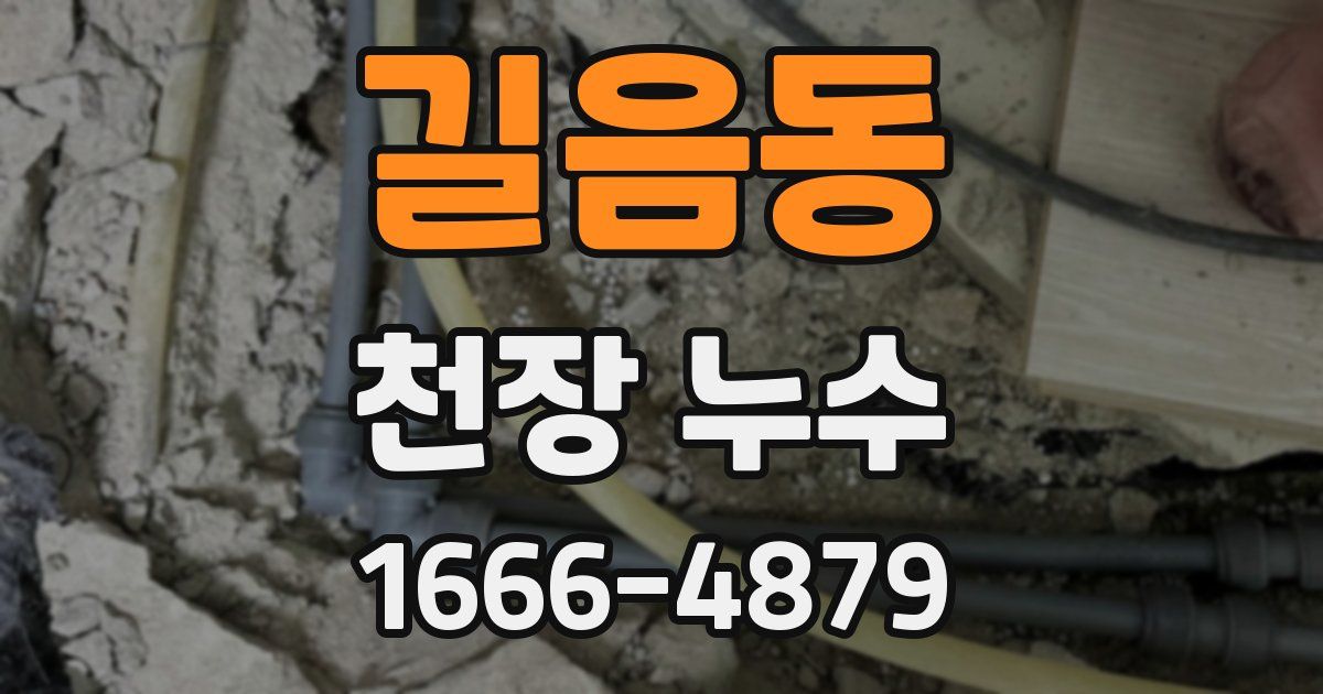 길음동 천장 누수