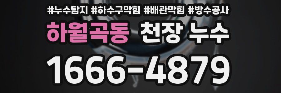 하월곡동 천장 누수