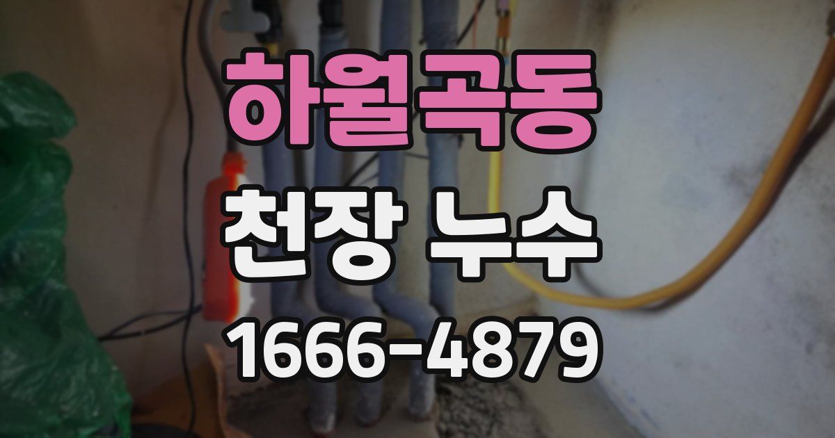 하월곡동 천장 누수