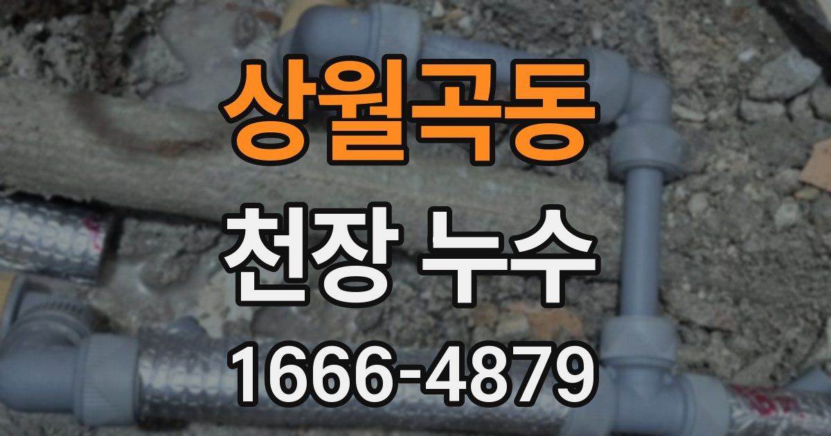 상월곡동 천장 누수