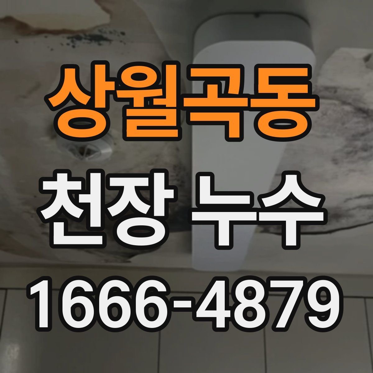 상월곡동 천장 누수