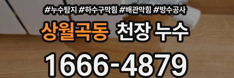 상월곡동 천장 누수