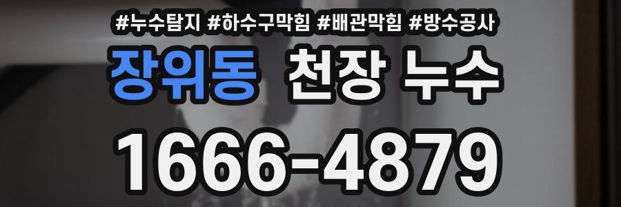 장위동 천장 누수