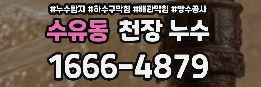 수유동 천장 누수