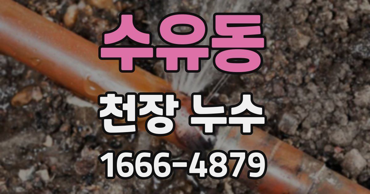 수유동 천장 누수