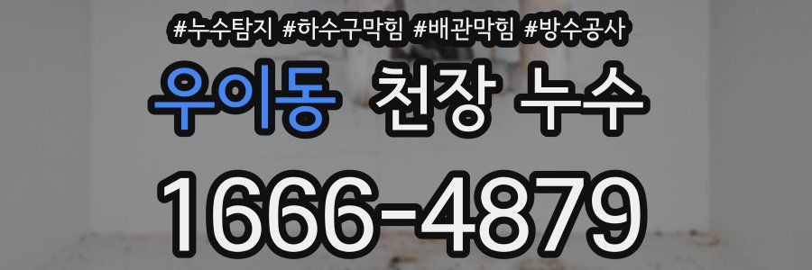 우이동 천장 누수
