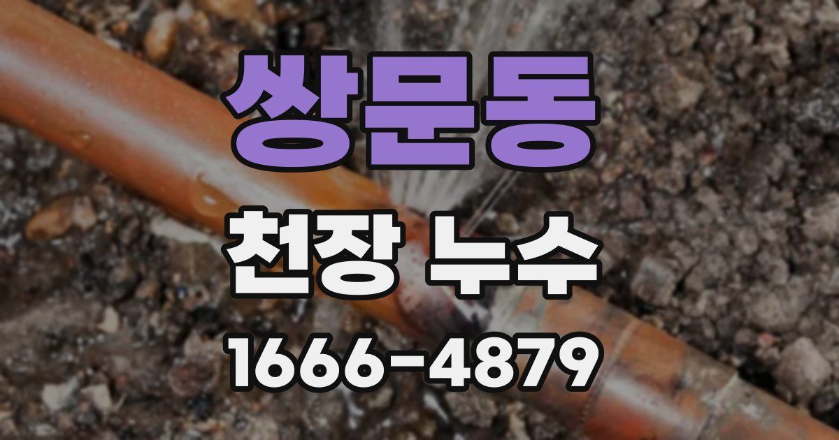 쌍문동 천장 누수