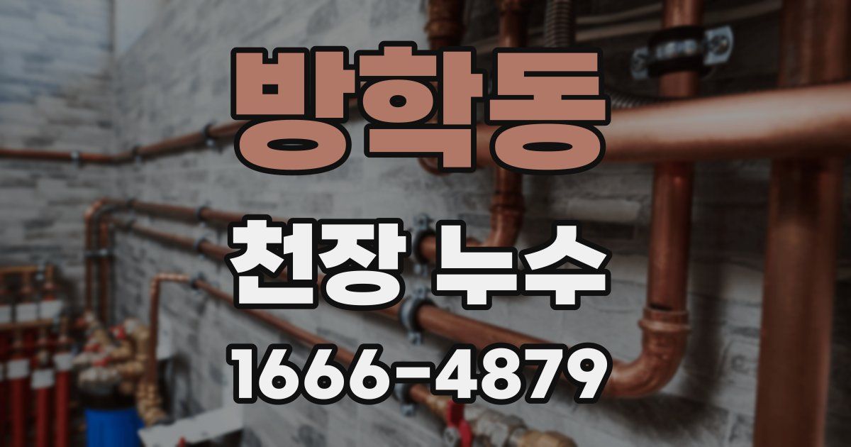 방학동 천장 누수