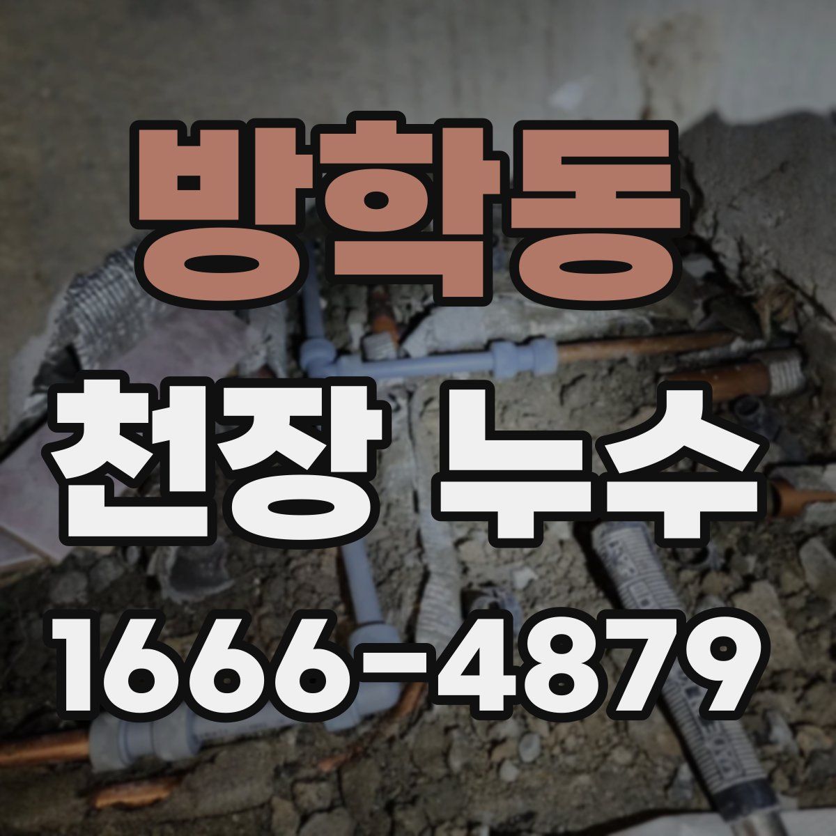 방학동 천장 누수