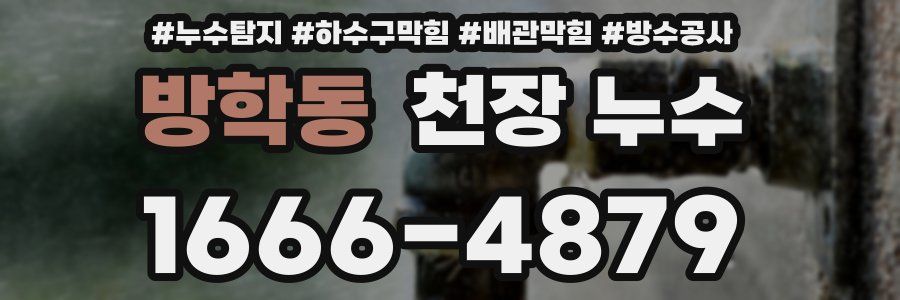 방학동 천장 누수