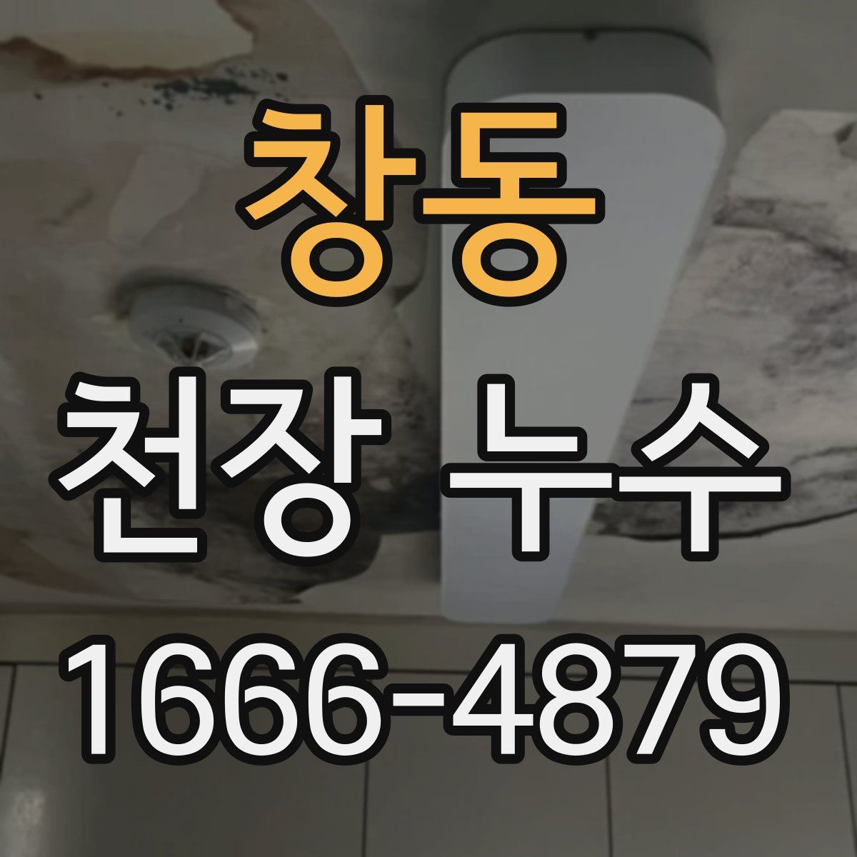 창동 천장 누수