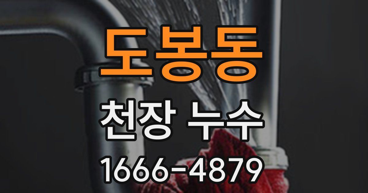 도봉동 천장 누수