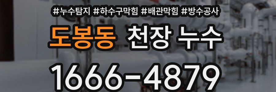 도봉동 천장 누수