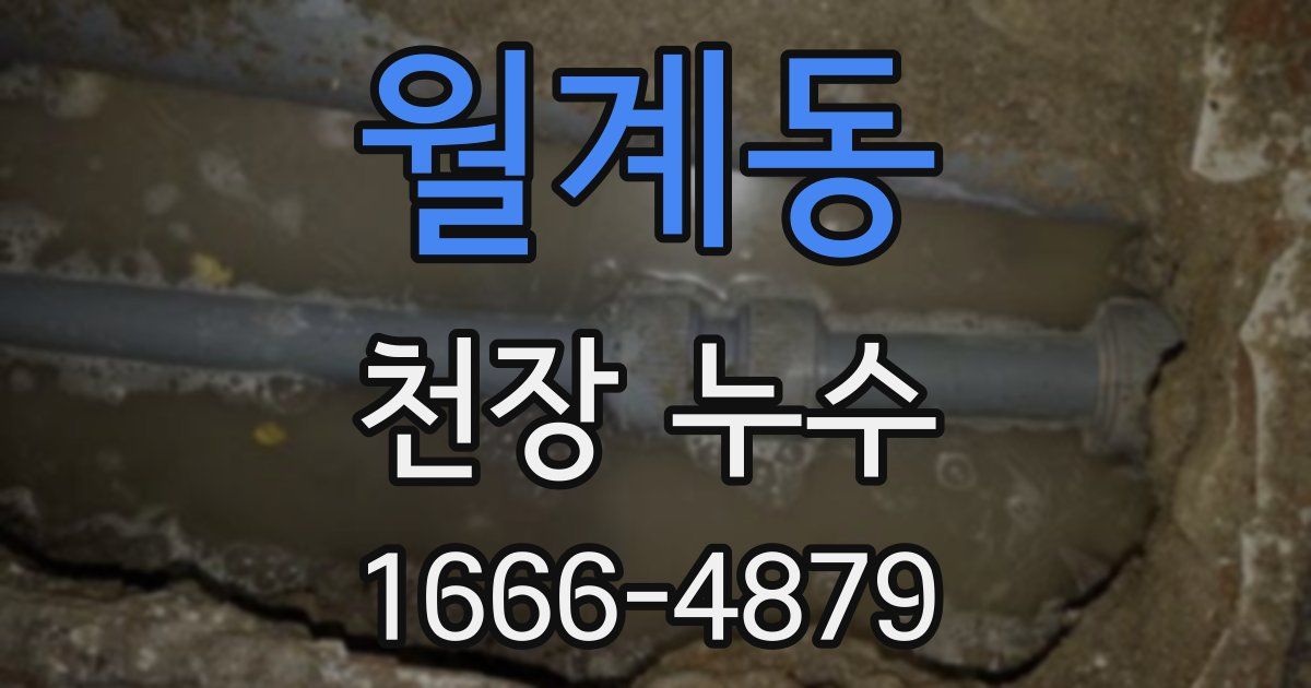 월계동 천장 누수